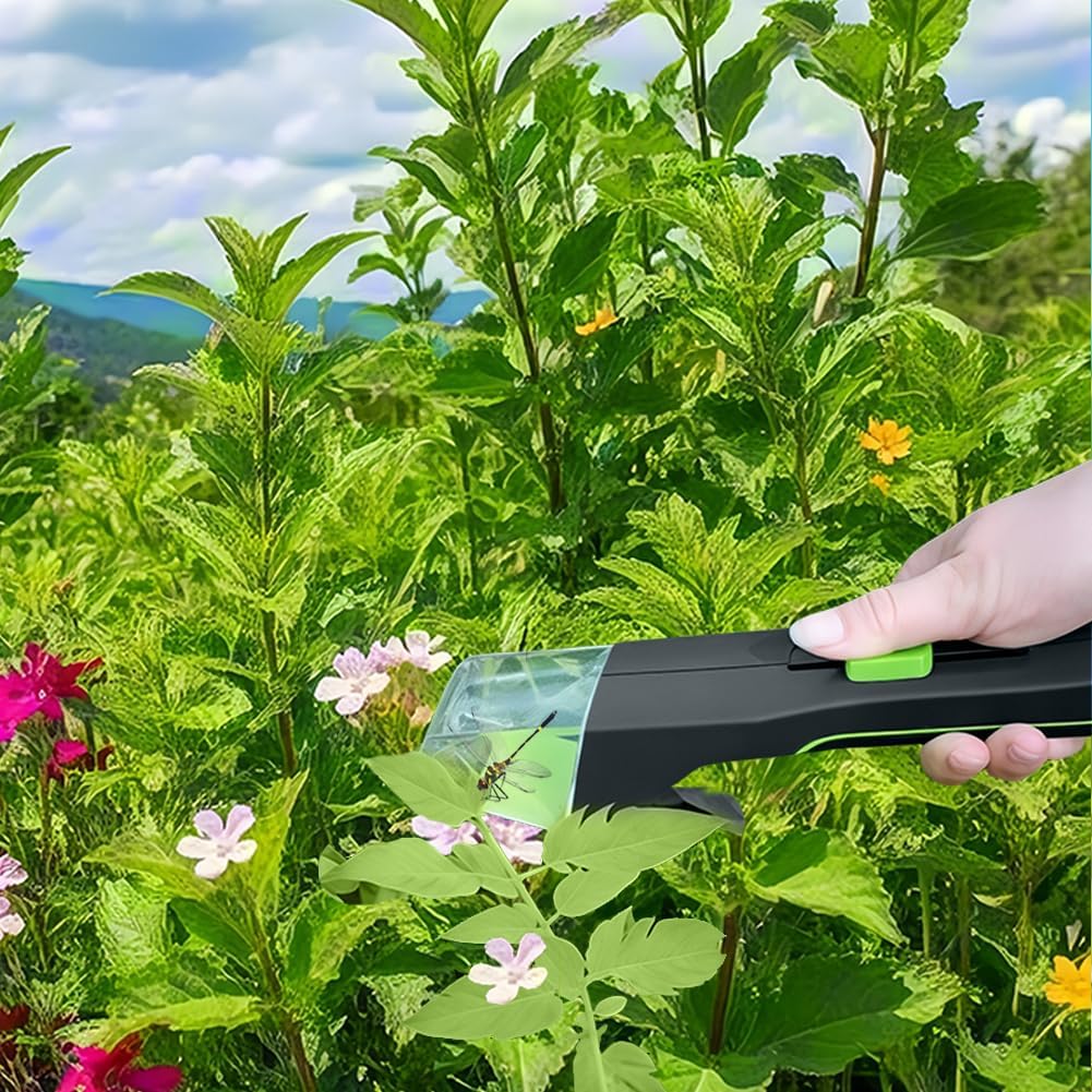Acchiappa Insetti Vivi : Il Regalo Etico e Divertente