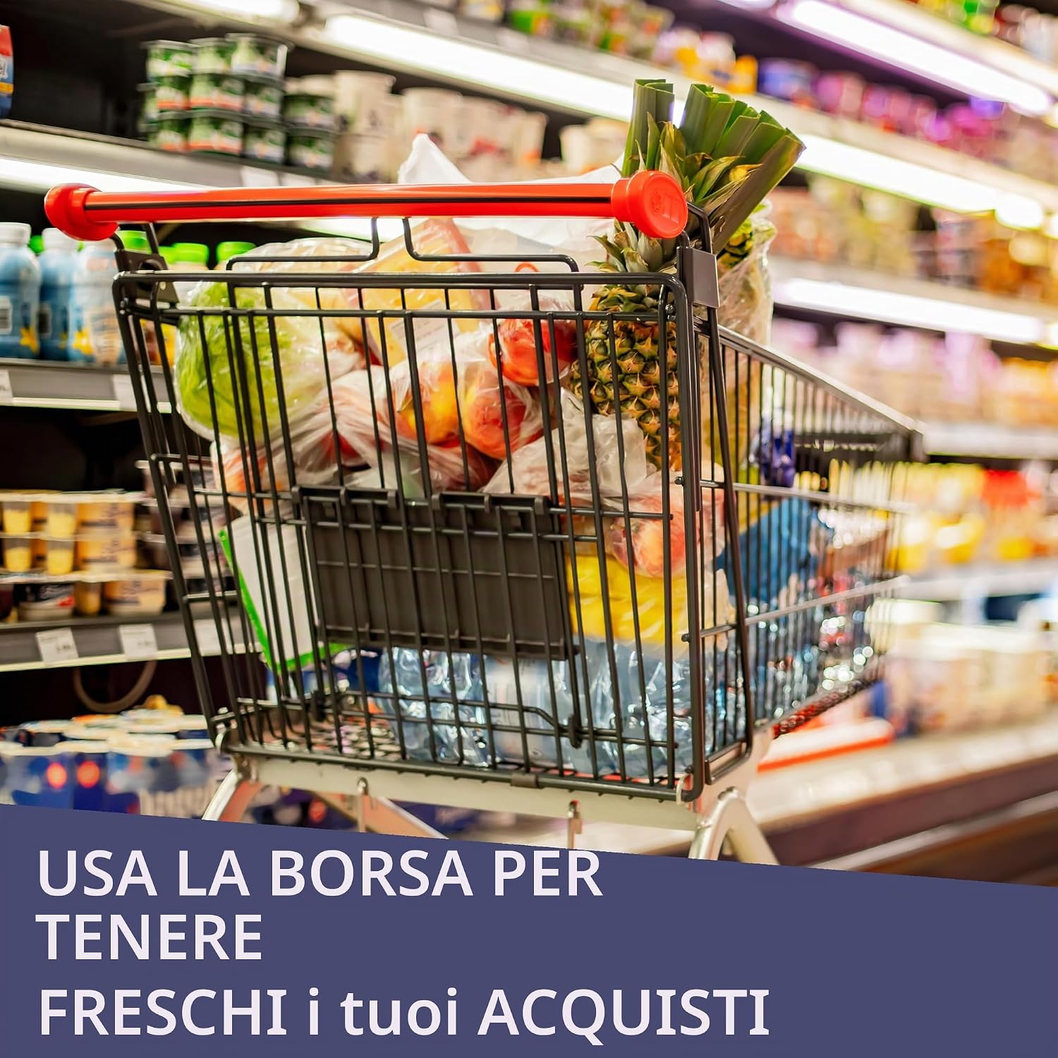 Borsa termica pieghevole da picnic – foto 3