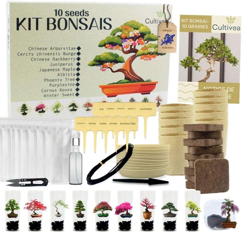 Kit per coltivare un bonsai dai semi