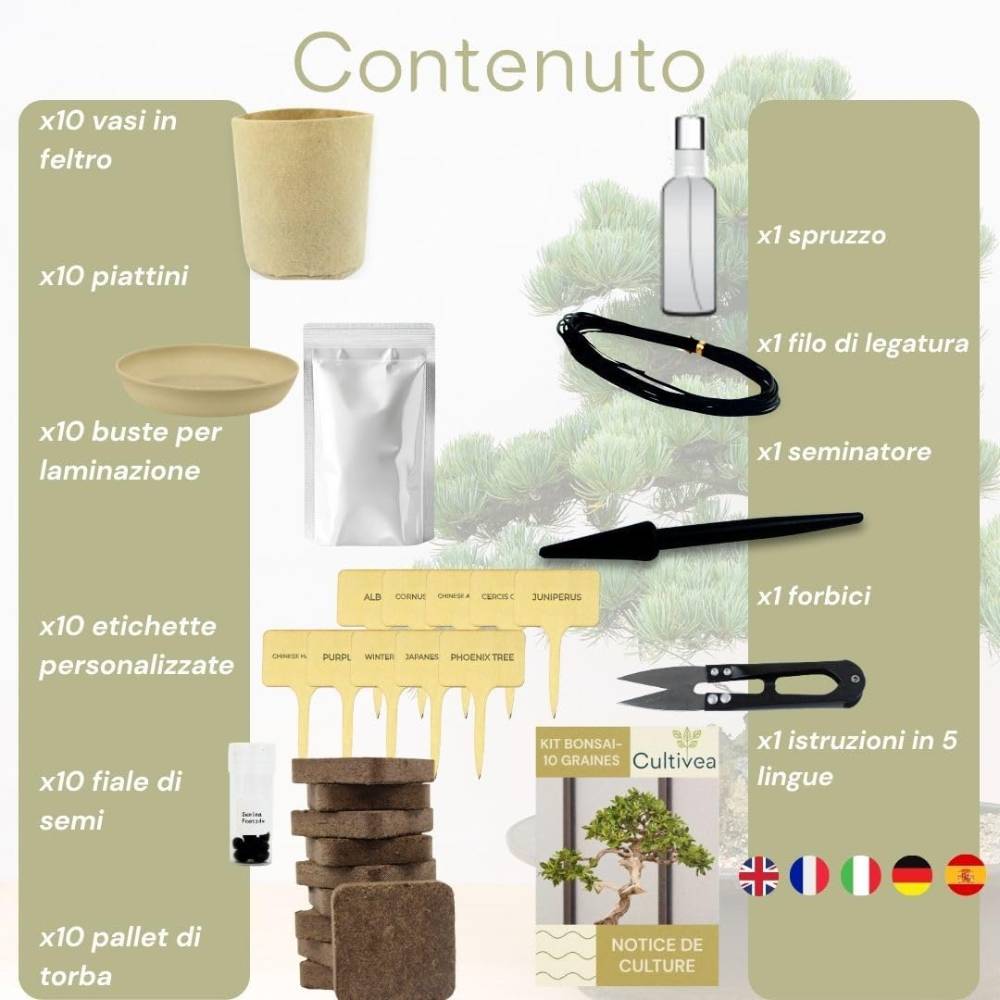 Kit per coltivare un bonsai dai semi – foto 5