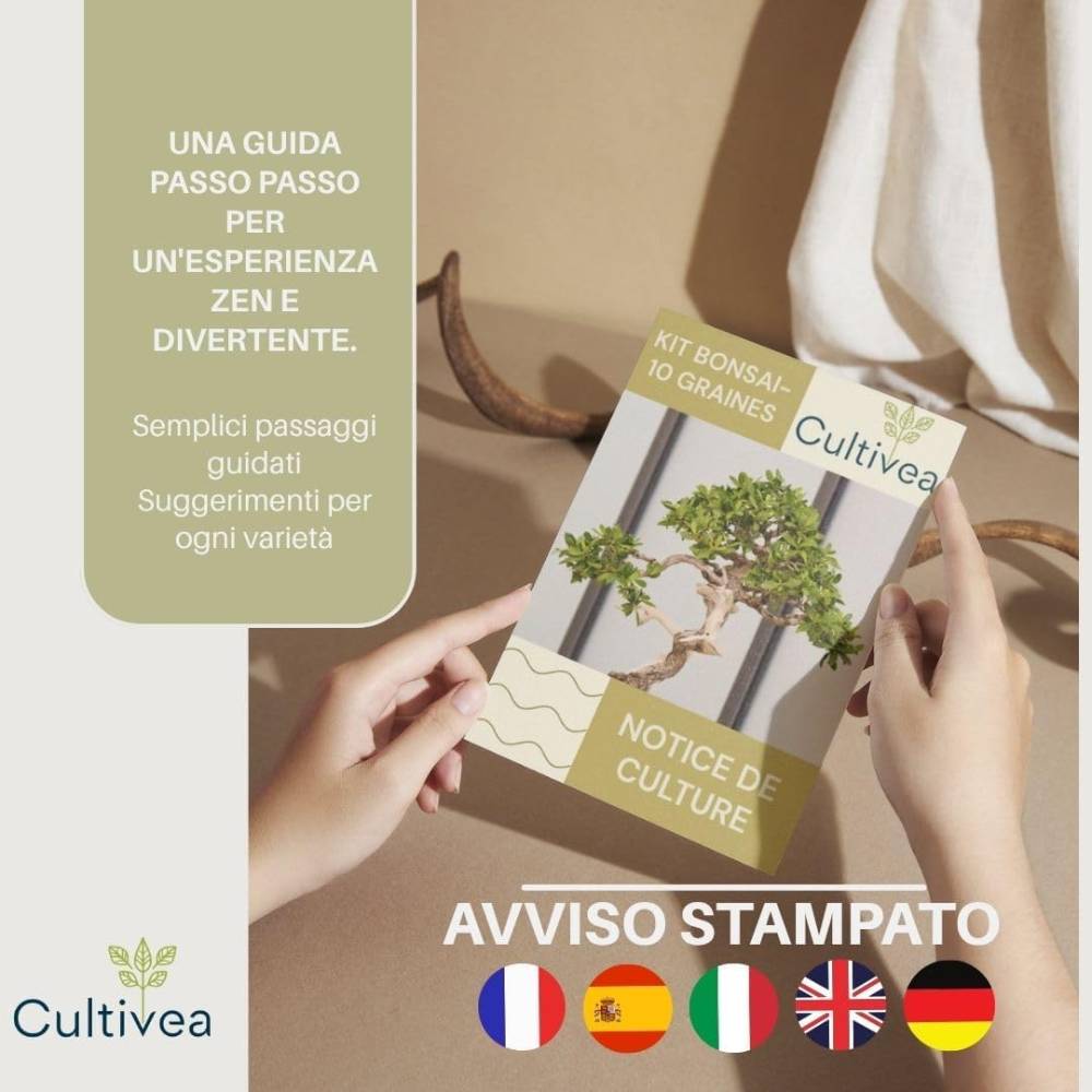 Kit per coltivare un bonsai dai semi – foto 4