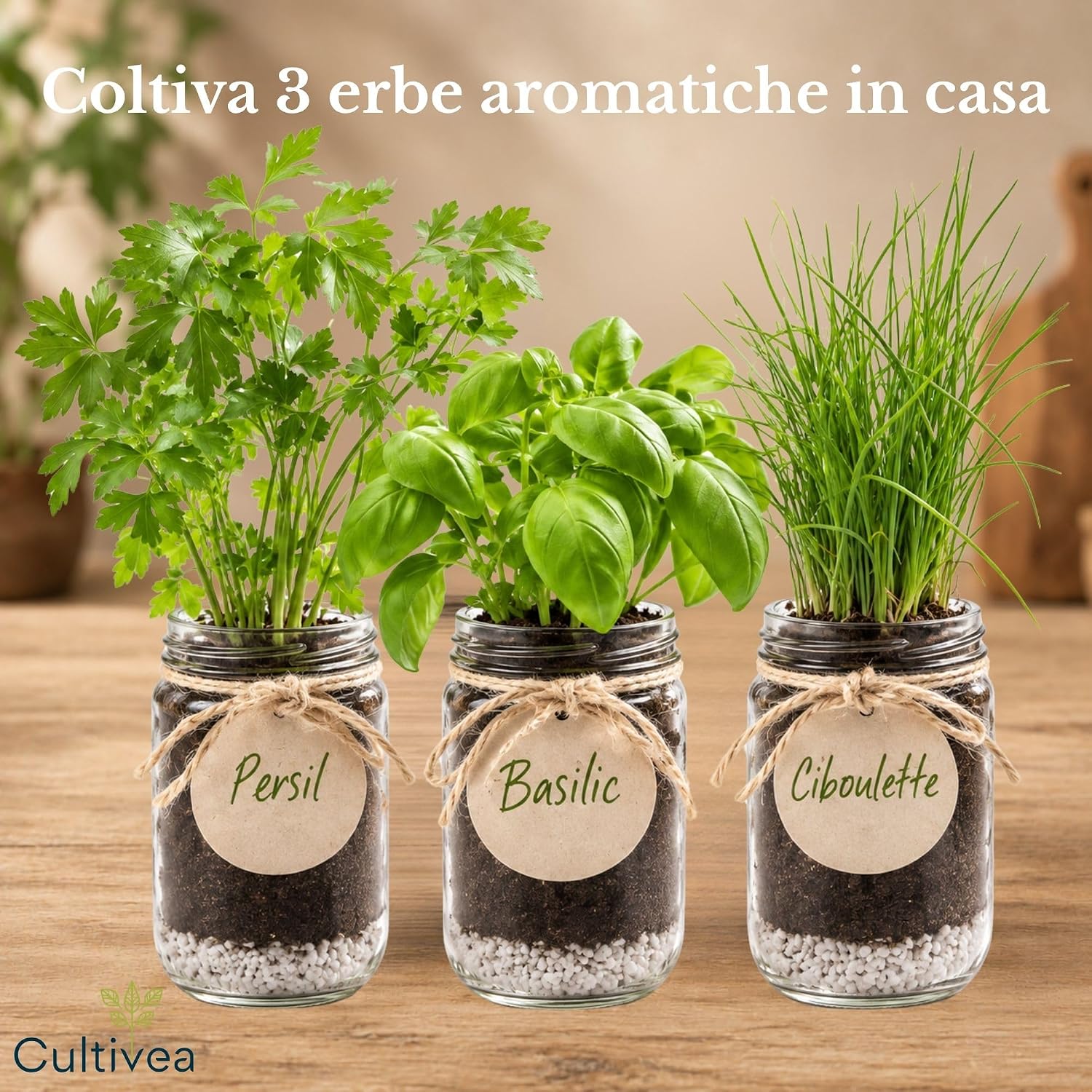Kit orto in casa con semi di erbe aromatiche – foto 2