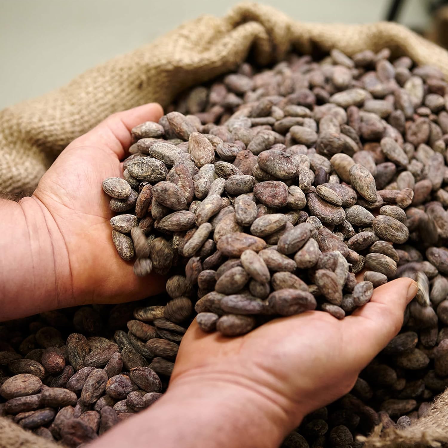 Cofanetto di cioccolato fondente monorigine – foto 2